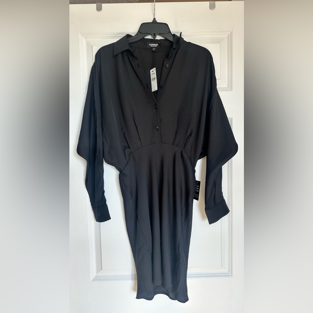 ExpressBack Collared Dress
